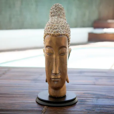 New Opening Oasis Terramar