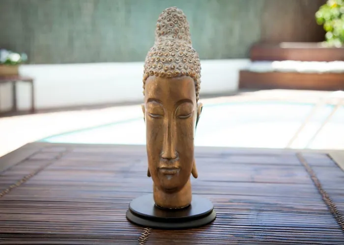 New Opening Oasis Terramar