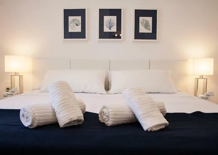 Willa New Opening Oasis Terramar