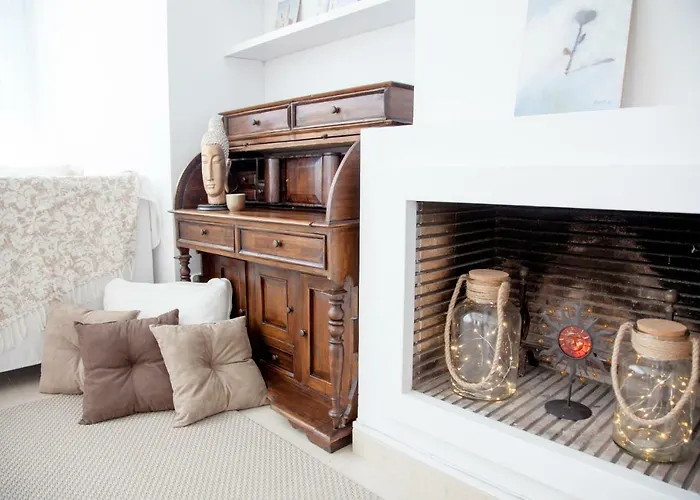 Willa New Opening Oasis Terramar