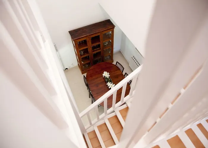 New Opening Oasis Terramar